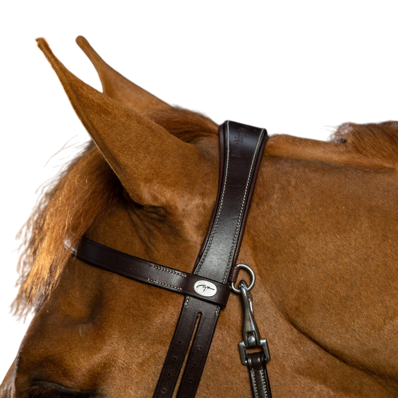 Dyon - Bridon cuir plat avec mousquetons Working By Dyon noir | - Ohlala