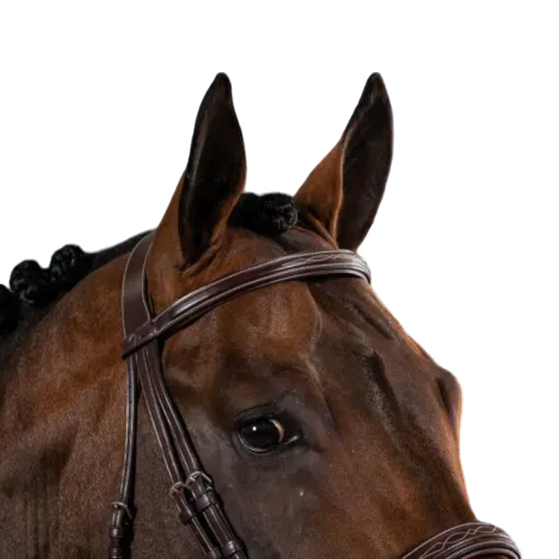 Dyon - Bridon muserolle large Hunter US Collection havane | - Ohlala