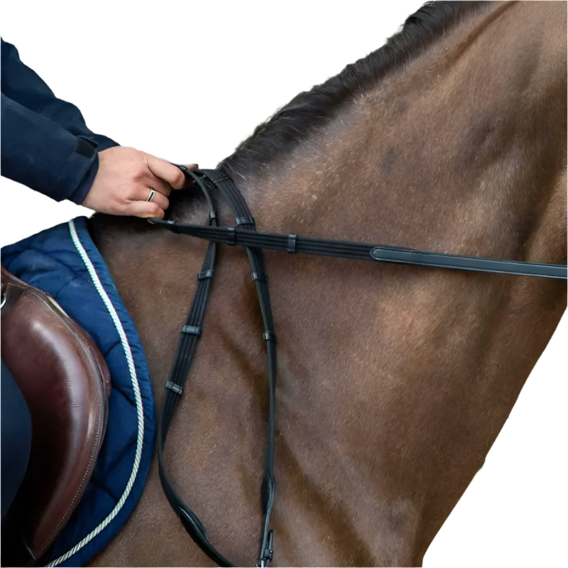 Dyon - Rênes en tissu 5/8 avec 9 arrêtoirs (sans stopper) New English Collection noir | - Ohlala