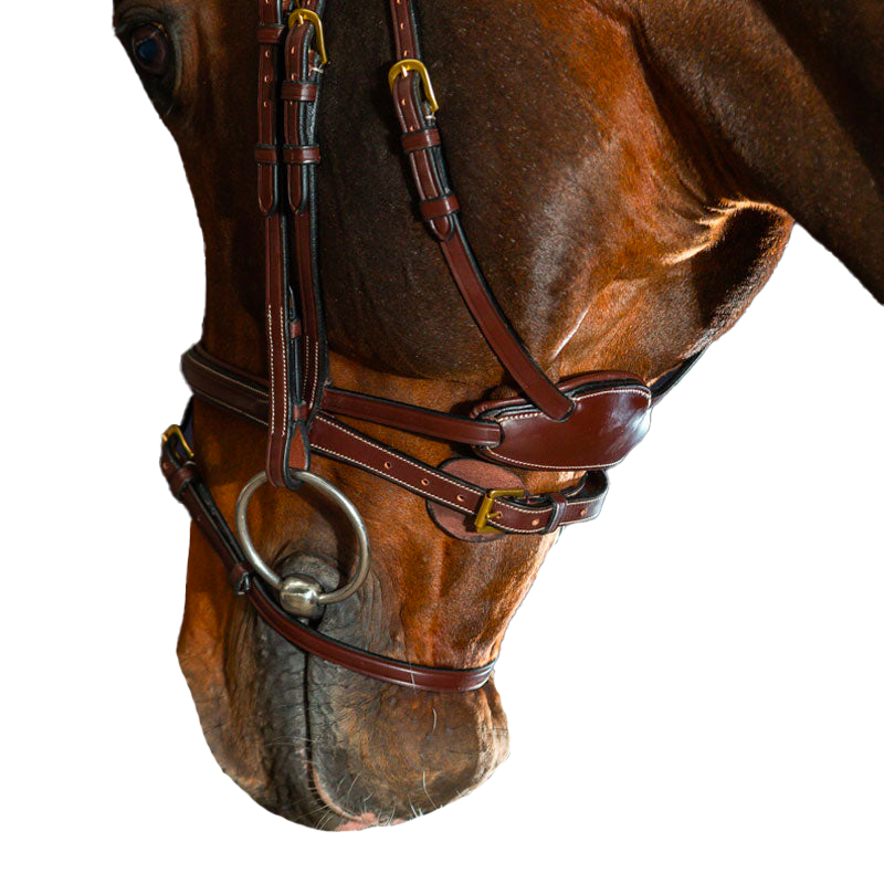 Dyon - Bridle Difference D Brown Collection