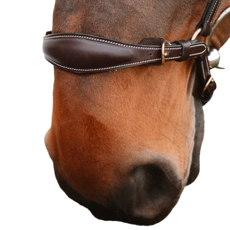 Dyon - Muserolle allemande chaîne D Collection marron | - Ohlala