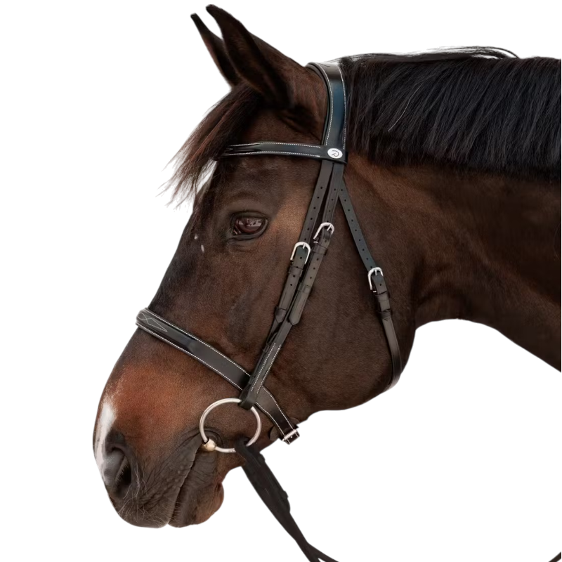 Dyon - Bridon Hunter noir | - Ohlala