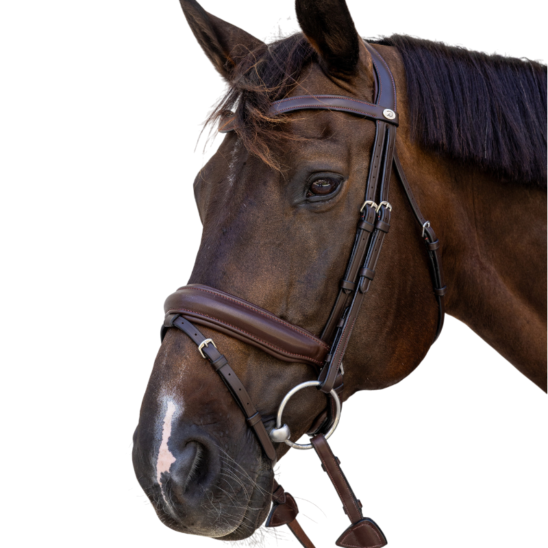 Dyon - Bridon muserolle Medium marron | - Ohlala