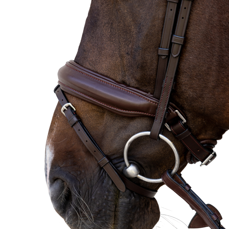 Dyon - Bridon muserolle Medium marron | - Ohlala