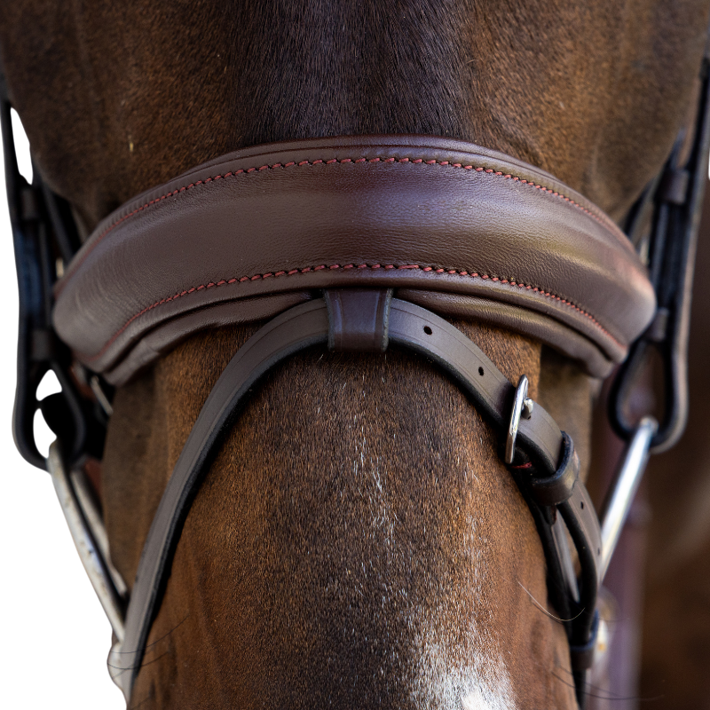 Dyon - Bridon muserolle Medium marron | - Ohlala