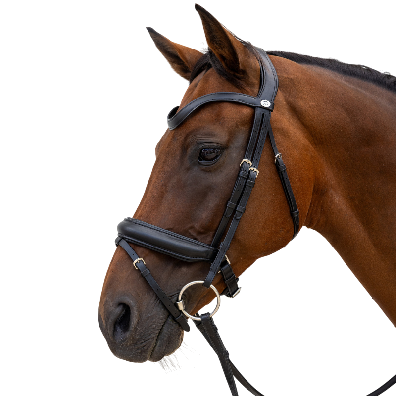 Dyon - Bridon muserolle Medium noir | - Ohlala