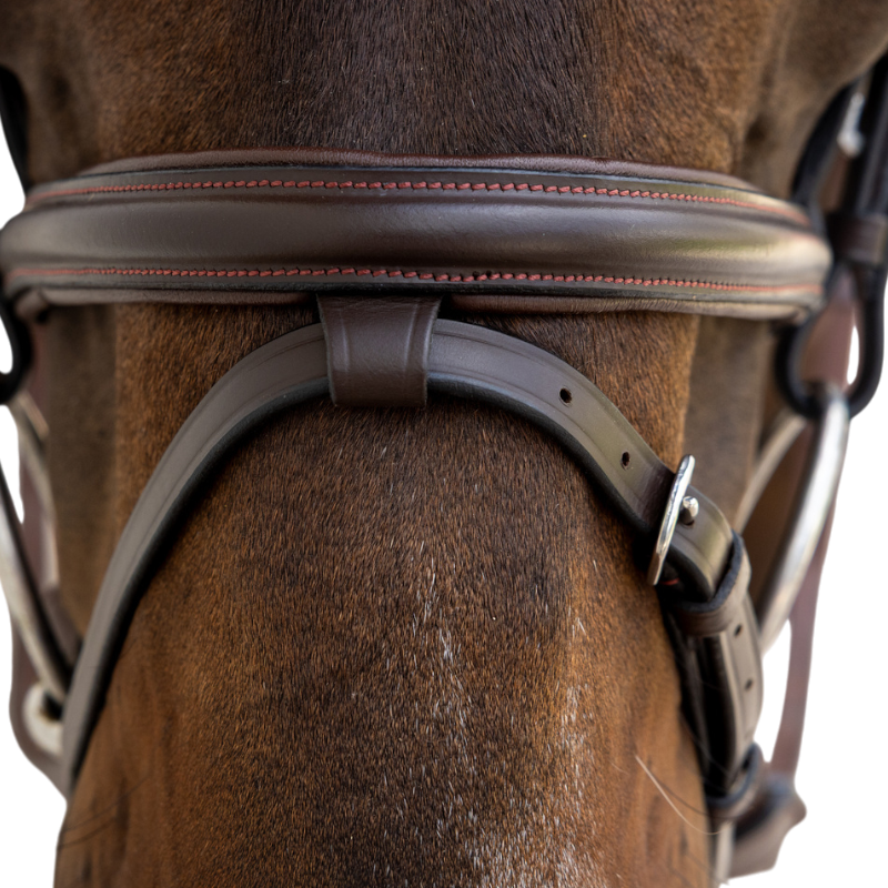 Dyon - Bridon muserolle combinée Flash marron | - Ohlala