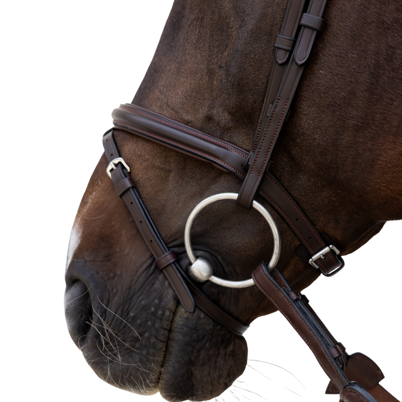 Dyon - Bridon muserolle combinée Flash marron | - Ohlala