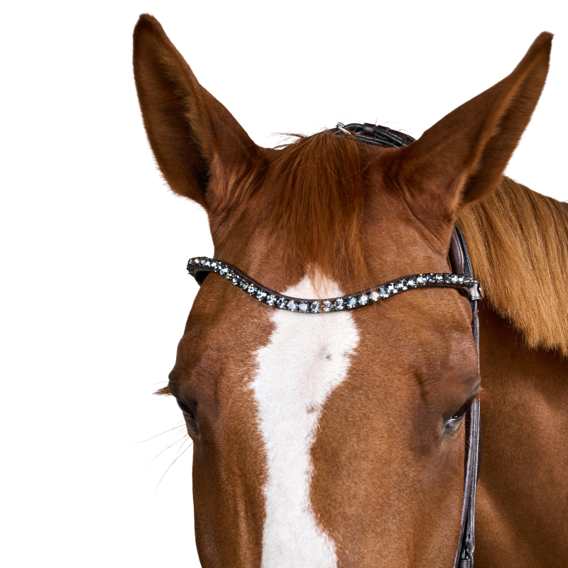 Dyon - Bridon muserolle large Round avec frontal à cristaux marron | - Ohlala