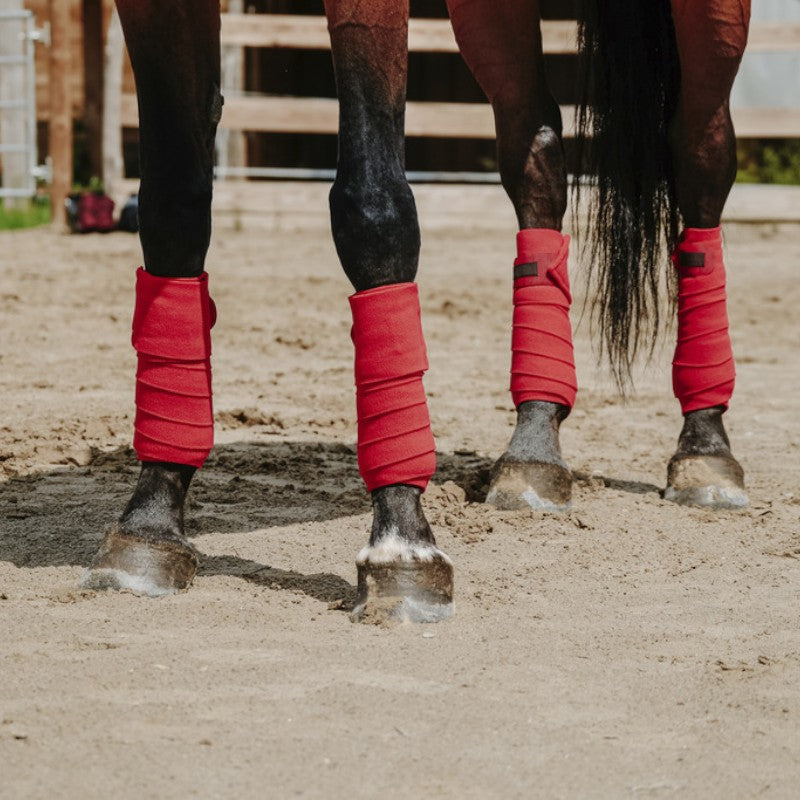 Equithème - Bande de polo 3M rouge (x4) | - Ohlala