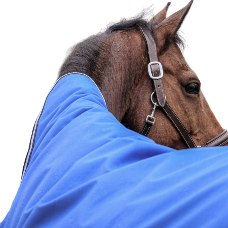 Equithème - Couverture d'extérieur Tyrex Aisance 1200D Combo bleu roi 300g | - Ohlala