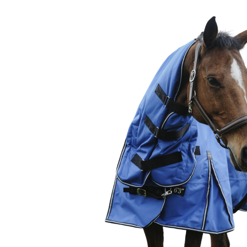 Equithème - Couverture d'extérieur Tyrex Aisance 1200D Combo bleu roi 100g | - Ohlala