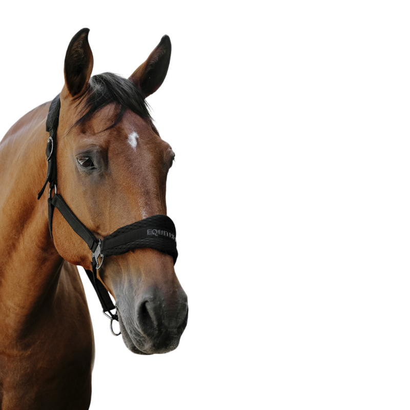 Equithème - Licol Nylon 3D Mesh noir | - Ohlala