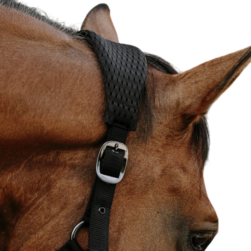 Equithème - Licol Nylon 3D Mesh noir | - Ohlala