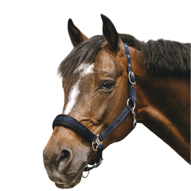 Equithème - Licol Nylon Jacquard marine | - Ohlala