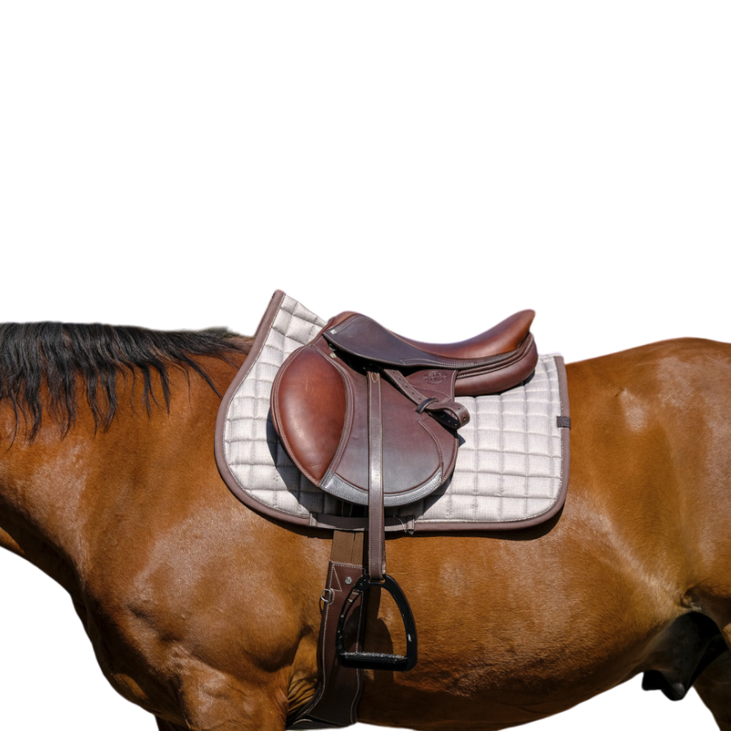 Equithème - Tapis de selle Chic marron | - Ohlala