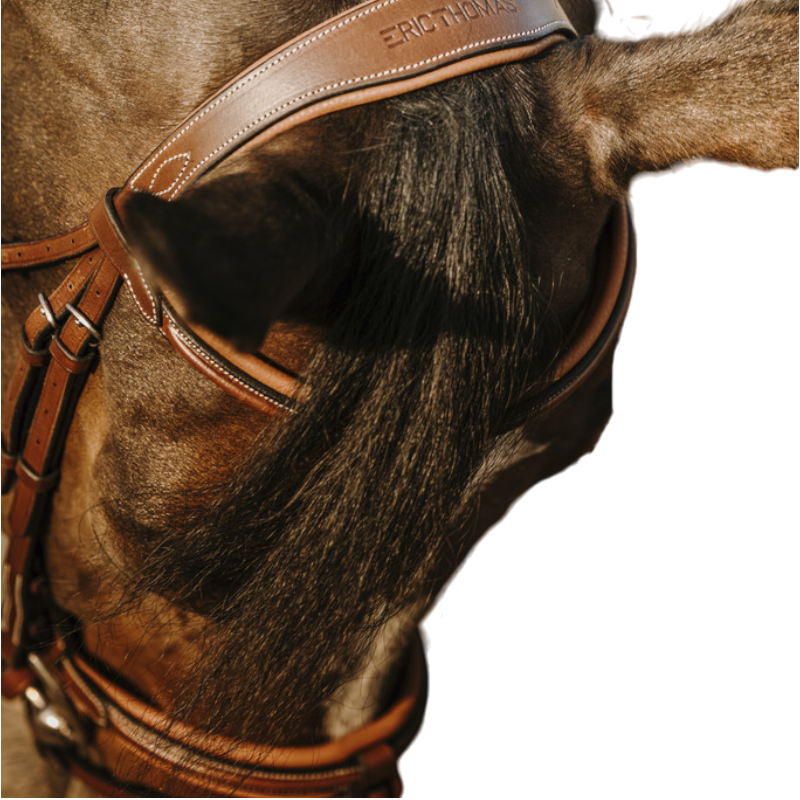 Eric Thomas - Bridon Work havane | - Ohlala