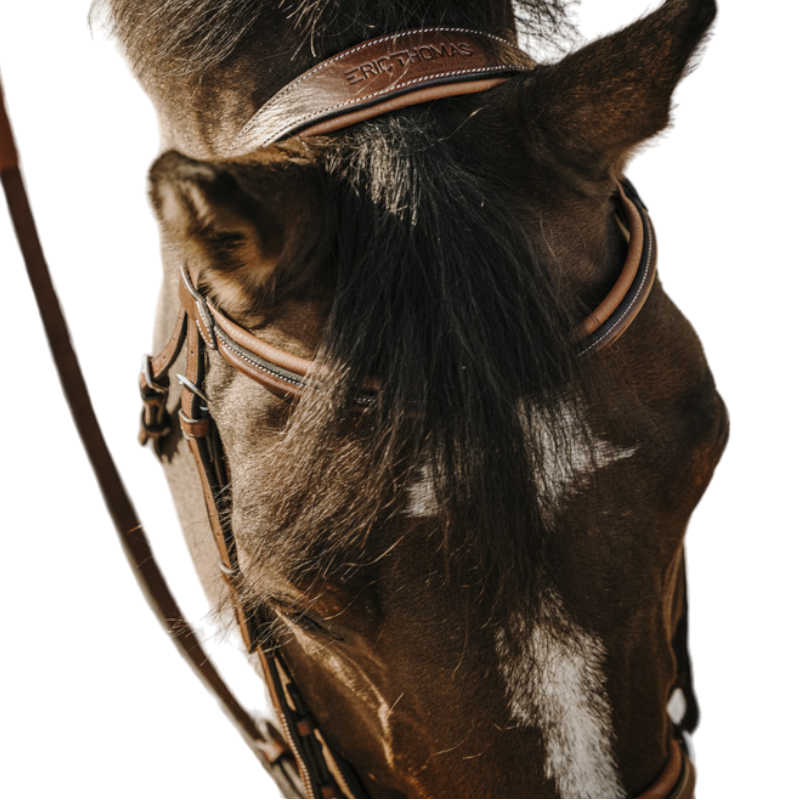 Eric Thomas - Bridon Work havane | - Ohlala