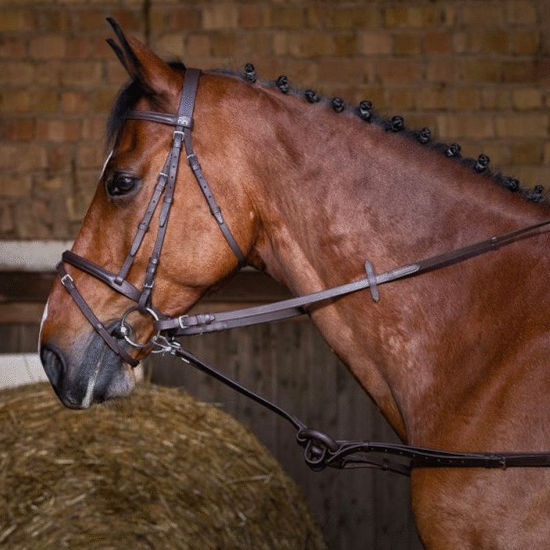 Riding World - Enrênement caoutchouc havane | - Ohlala