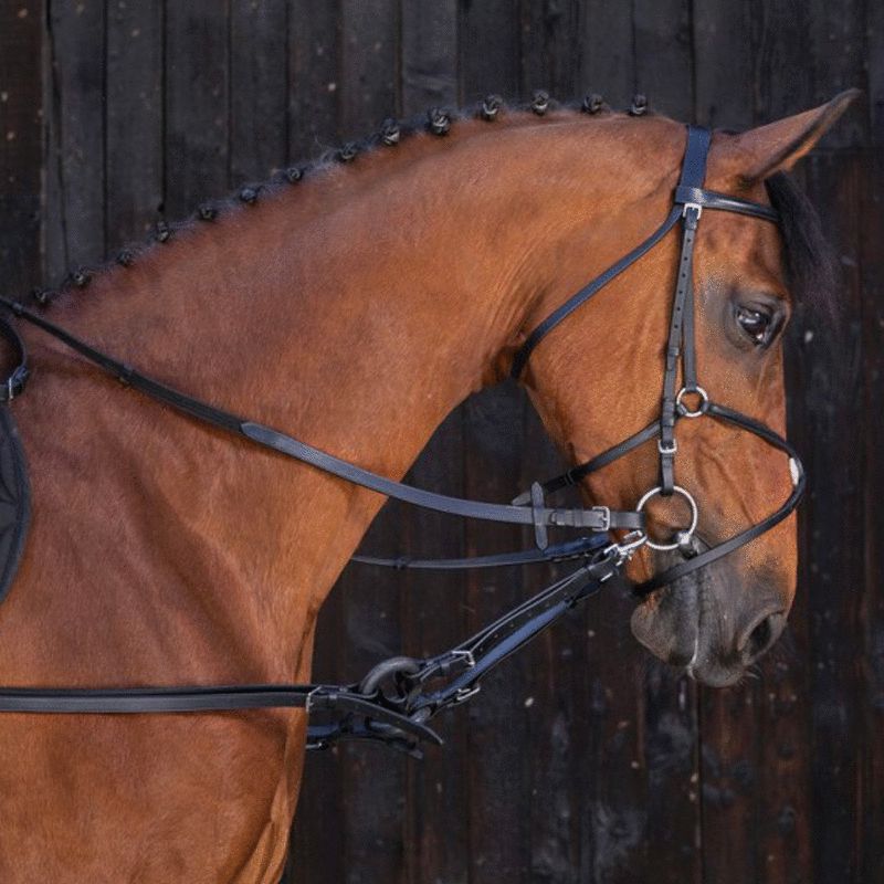 Riding World - Enrênement caoutchouc noir | - Ohlala