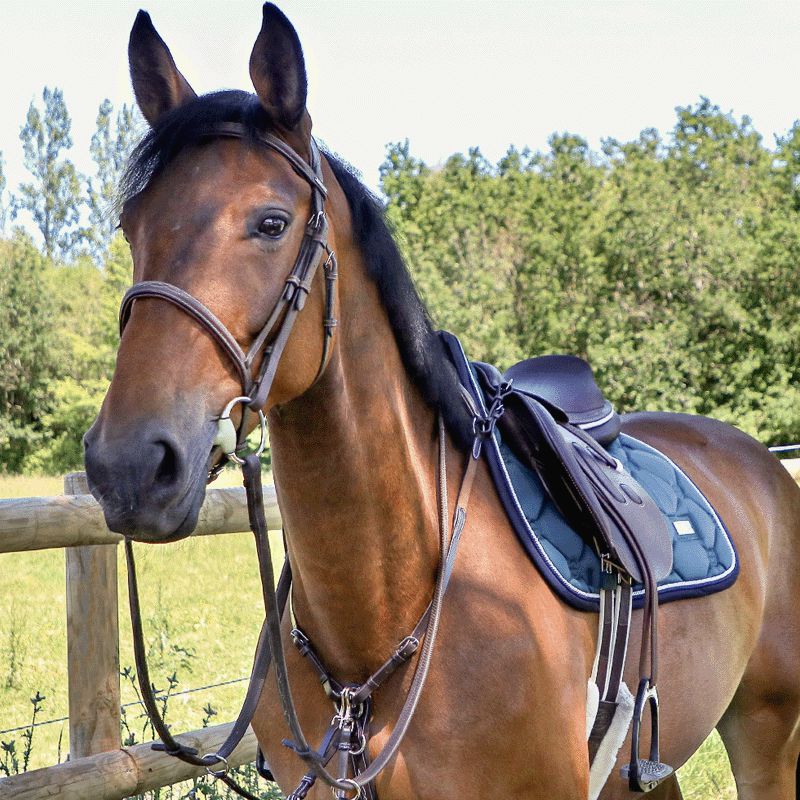 Equestrian Stockholm - Tapis de selle Emerald | - Ohlala