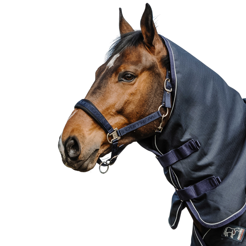 Equithème - Couvre-cou Anatomic Aisance 1200D 0g marine | - Ohlala