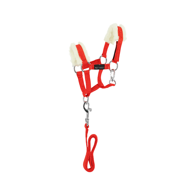 Equithème - Ensemble licol + longe pour mini poney rouge | - Ohlala