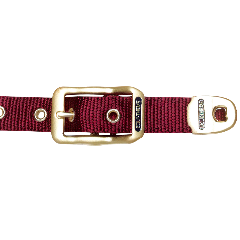 Equithème - Licol en nylon bordeaux | - Ohlala