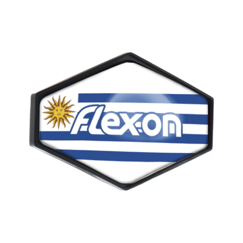Flex On - Sticker casque Armet Uruguay | - Ohlala
