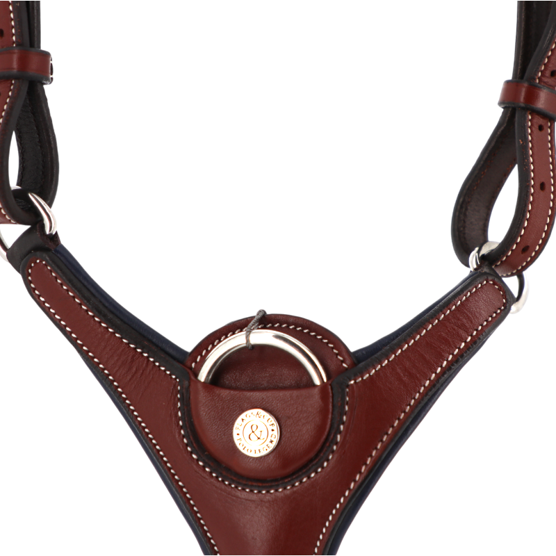 Flags &amp; Cup - Paris Brown / Navy Hunting Collar