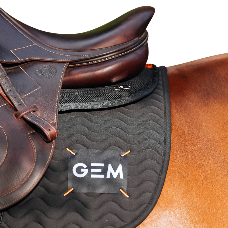 GEM - Tapis de selle Touc Touc noir | - Ohlala