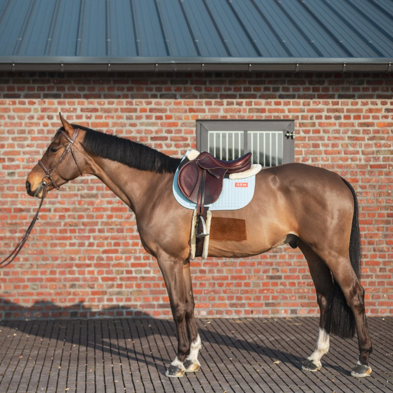 GEM - Tapis de selle Leo bleu ciel | - Ohlala