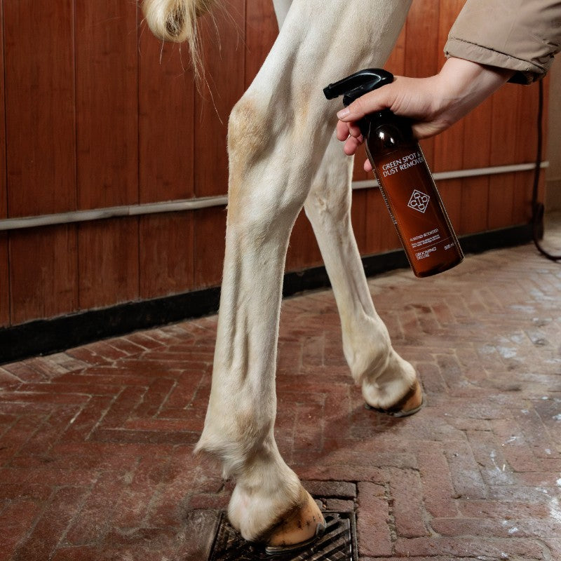 Grooming Deluxe - Spay détachant sans rinçage à l'amande | - Ohlala