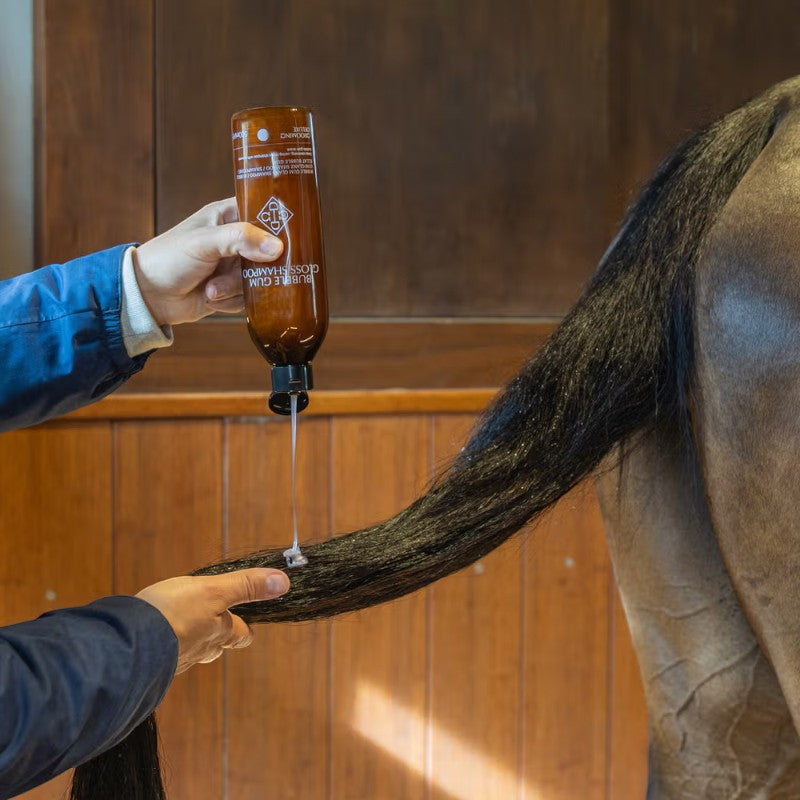 Grooming Deluxe - Shampoing Gloss bubble gum | - Ohlala