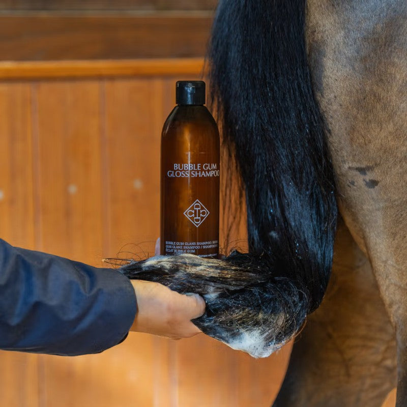 Grooming Deluxe - Shampoing Gloss bubble gum | - Ohlala