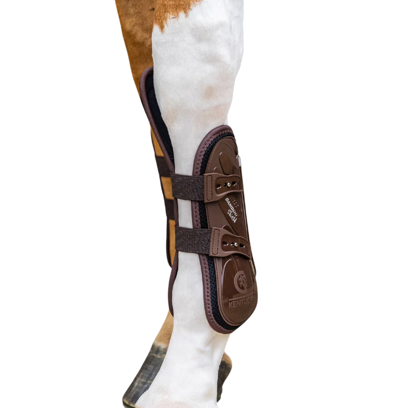 Kentucky Horsewear - Guêtres Elastic protection genoux marron