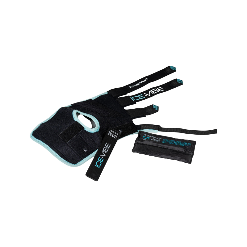 Horseware - Guêtres de jarret Ice Vibe noir/ aqua | - Ohlala
