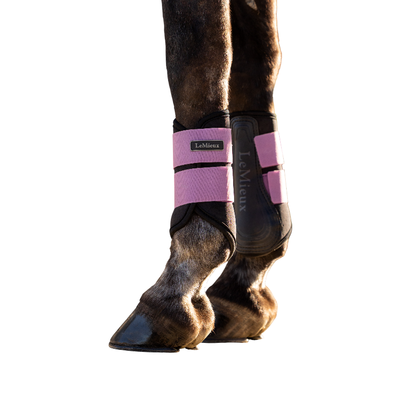 LeMieux - Guêtres fermées Air-Tek Grafter mallow | - Ohlala