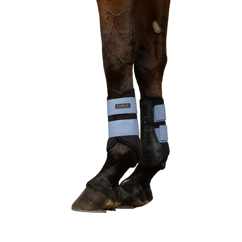 LeMieux - Guêtres fermées Air-Tek Grafter powder blue | - Ohlala