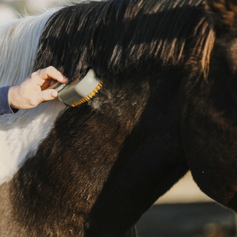 Hippotonic - Etrille à vapeur avec manche taupe | - Ohlala