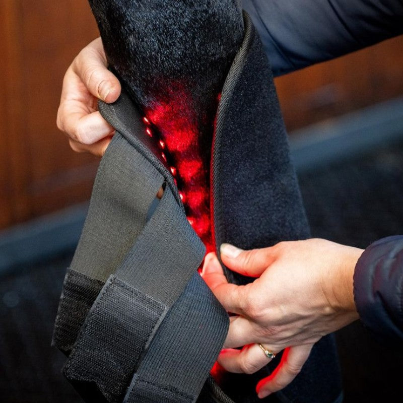 Horseware - Guêtres thérapeutiques lumière rouge LED (x1) | - Ohlala