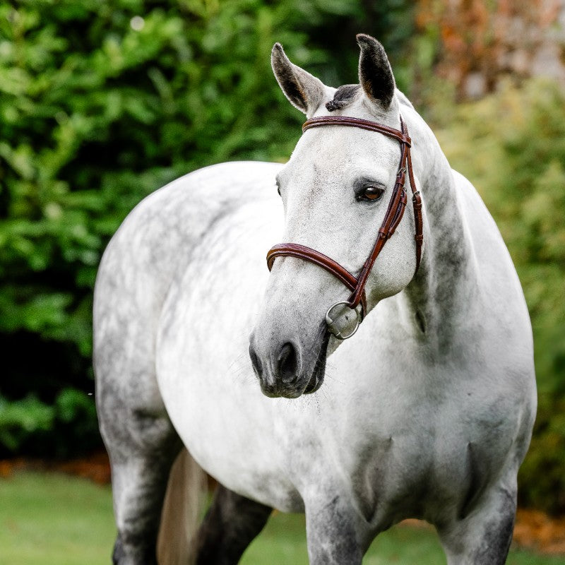 Horseware - Bridon Cavesson Hunter avec rênes dark tan | - Ohlala