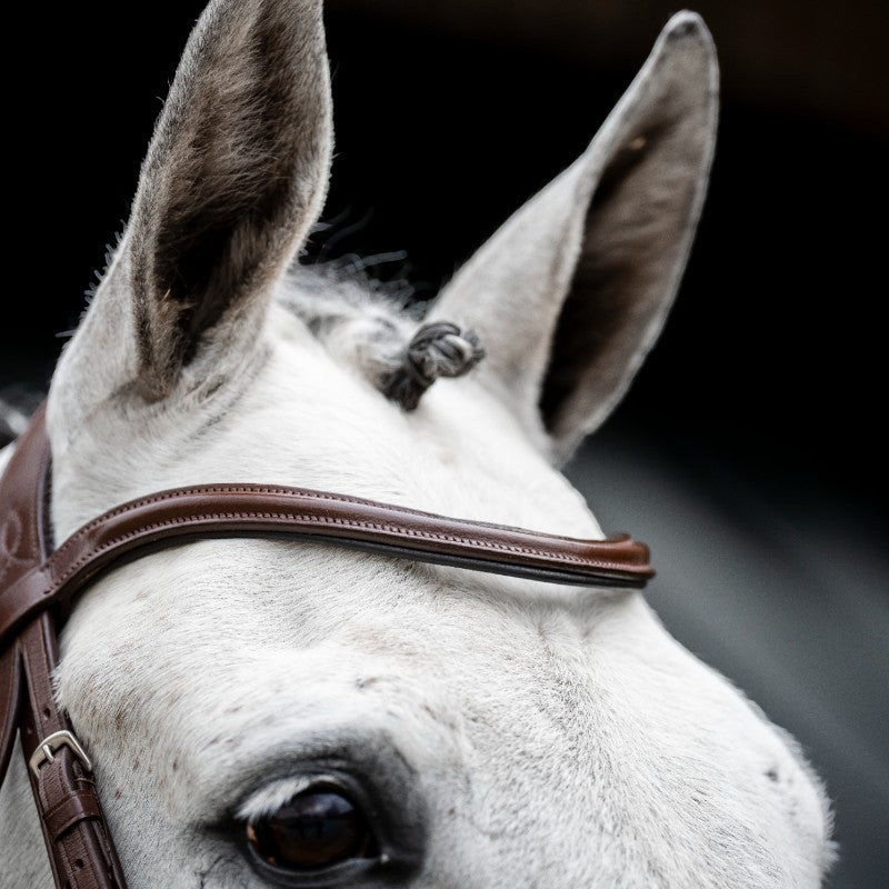 Horseware - Bridon Cavesson marron | - Ohlala