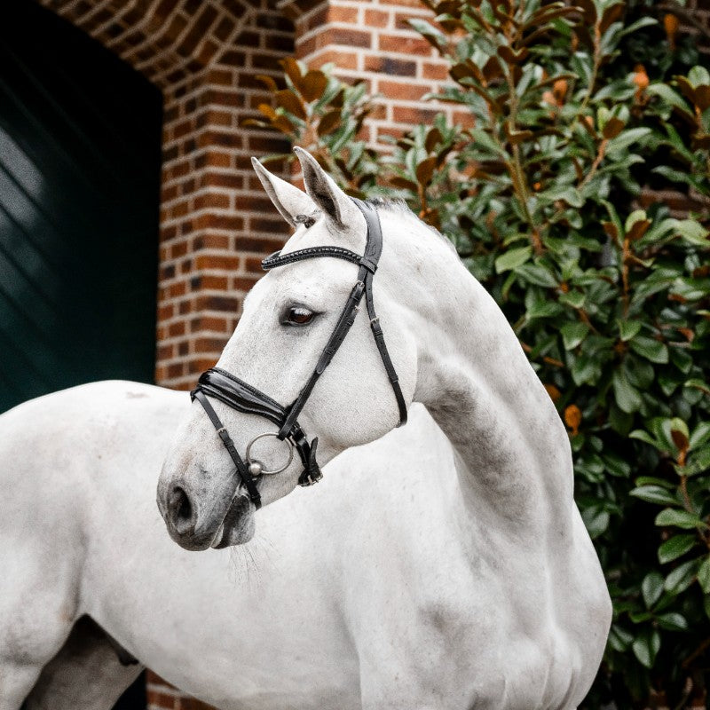 Horseware - Bridon Diamante Flash noir/ noir | - Ohlala