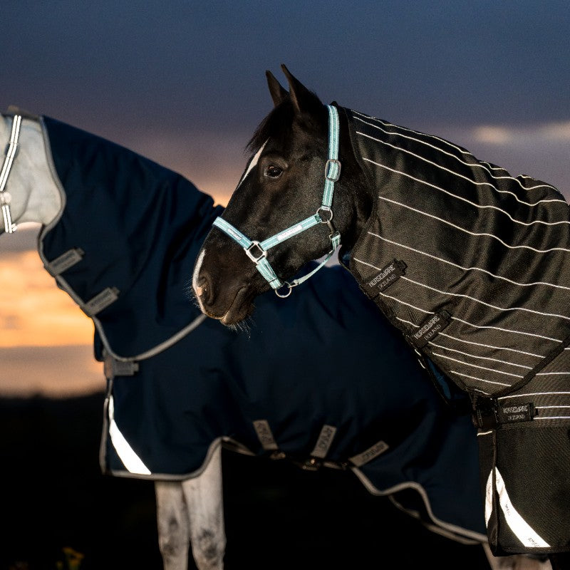 Horseware - Couverture d'extérieur Amigo FieldSafe Plus Turnout marine/ titanium grey/ argent 250g | - Ohlala