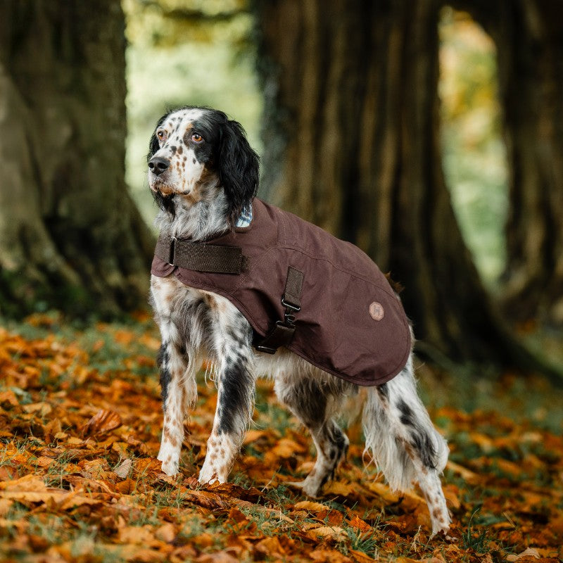 Horseware - Couverture extérieur pour chien Newmarket Heritage marron/ witney navy | - Ohlala