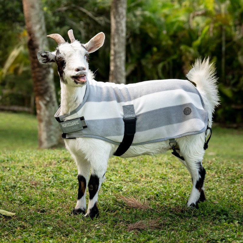 Horseware - Couverture polaire pour chèvre Newmarket witney charcoal | - Ohlala