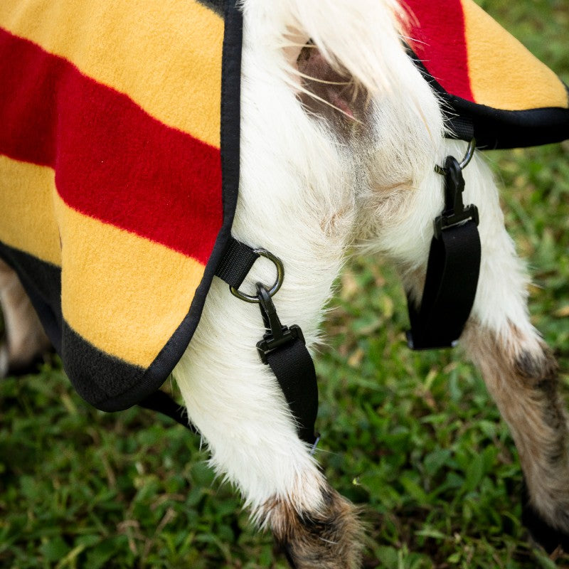 Horseware - Couverture polaire pour chèvre Newmarket witney gold | - Ohlala