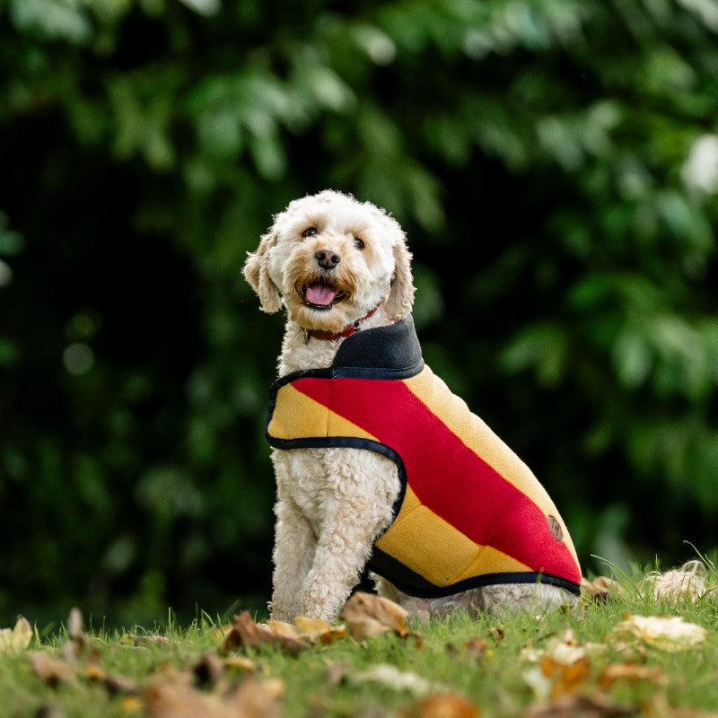 Horseware - Couverture polaire pour chien Newmarket witney gold | - Ohlala