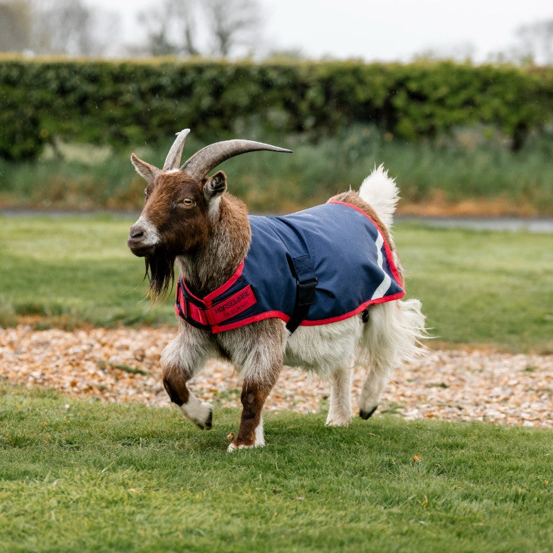 Horseware - Couverture pour chèvre marine/ rouge 200g | - Ohlala